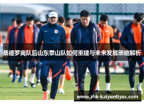 桑德罗离队后山东泰山队如何重建与未来发展策略解析