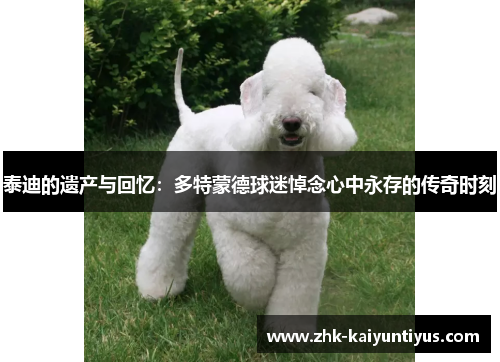 泰迪的遗产与回忆：多特蒙德球迷悼念心中永存的传奇时刻