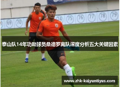 泰山队14年功勋球员桑德罗离队深度分析五大关键因素