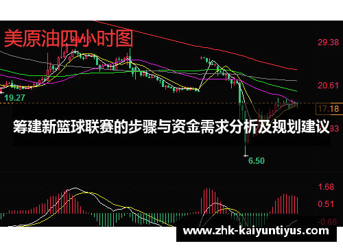 筹建新篮球联赛的步骤与资金需求分析及规划建议