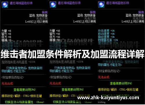 维击者加盟条件解析及加盟流程详解