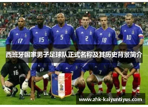 西班牙国家男子足球队正式名称及其历史背景简介