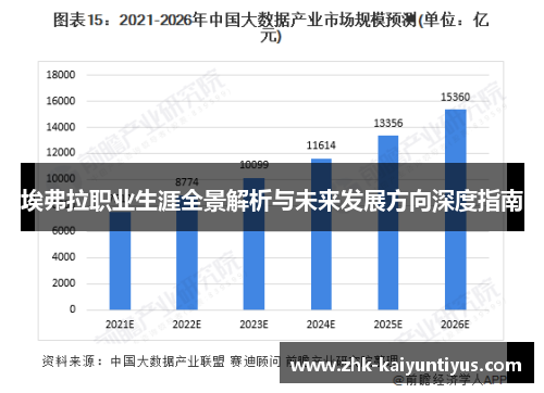 埃弗拉职业生涯全景解析与未来发展方向深度指南