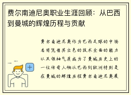 费尔南迪尼奥职业生涯回顾：从巴西到曼城的辉煌历程与贡献